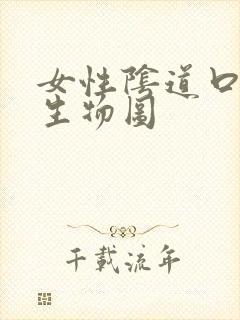 女性阴道口有增生物图