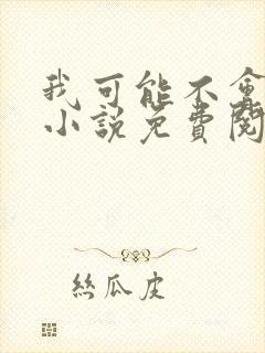 我可能不会爱你小说免费阅读