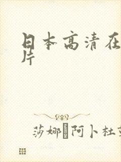 日本高清在线看片