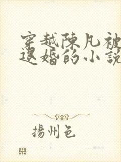 穿越陈凡被女帝退婚的小说