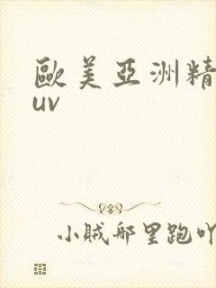 欧美亚洲精品suv