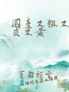 国产又粗又猛又爽又黄