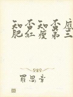 知否知否应是绿肥红瘦第三集