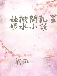 她掀开乳罩喂我奶水小说