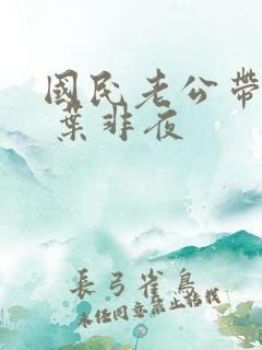 国民老公带回家 叶非夜