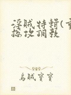 淫贼特辑(重口总攻调教