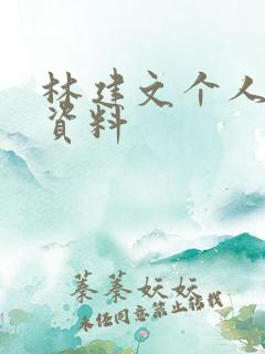 林建文个人简介资料