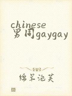 chinese男同gaygay