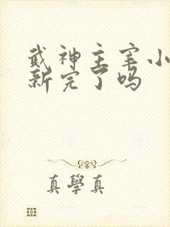 武神主宰小说更新完了吗