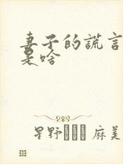 妻子的谎言讲的是啥