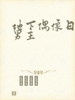 地下偶像日漫双男主