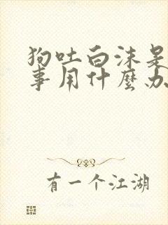 狗吐白沫是咋回事用什么办法治疗