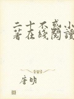 二十不惑小说原著在线阅读