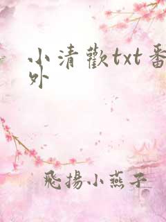 小清欢txt番外