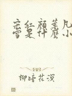 宋红颜叶凡唐若雪是什么小说