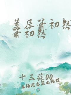 叶辰萧初然叶辰萧初然