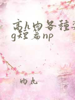 高h肉各种姿势g短篇np