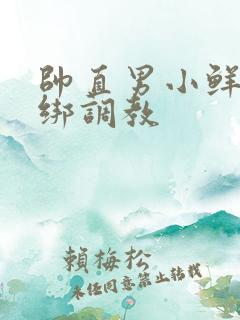 帅直男小鲜肉捆绑调教