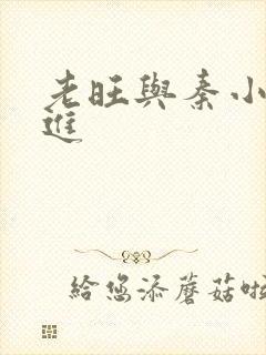 老旺与秦小雨猛进