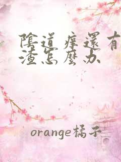 阴道痒还有豆腐渣怎么办