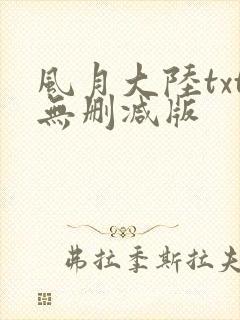 风月大陆txt无删减版