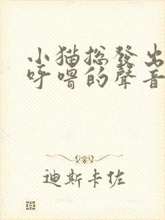 小猫总发出呼噜呼噜的声音怎么回事