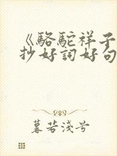 《骆驼祥子》摘抄好词好句好段