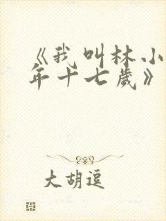 《我叫林小喜今年十七岁》