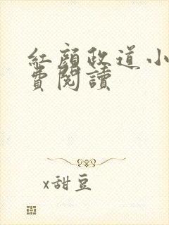 红颜政道小说免费阅读