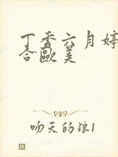 丁香六月婷婷综合欧美