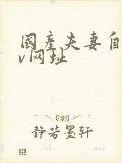 国产夫妻自拍av网址