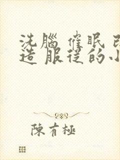 洗脑 催眠 改造 服从的小说推荐