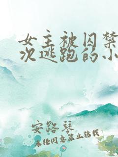 女主被囚禁并多次逃跑的小说