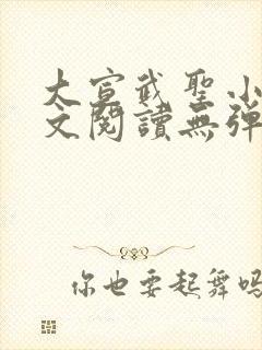 大宣武圣小说全文阅读无弹窗