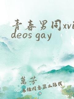 青春男同xvideos gay
