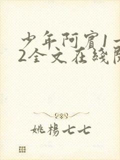 少年阿宾1一72全文在线阅读