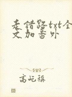 走错路txt全文加番外