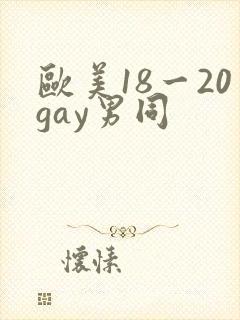 欧美18一20gay男同