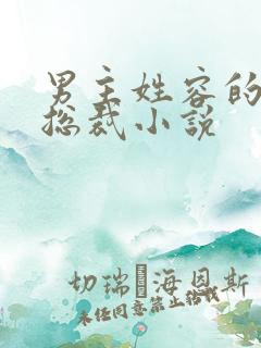 男主姓容的霸道总裁小说