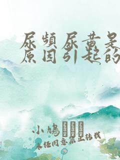 尿频尿黄是什么原因引起的