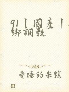 91丨国产丨捆绑调教