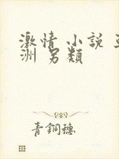 激情 小说 亚洲 另类