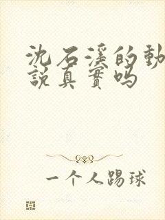 沈石溪的动物小说真实吗