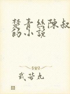 楚青丝陈叔薛冰的小说