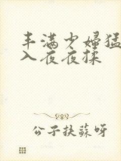 丰满少妇猛烈进入夜夜揉