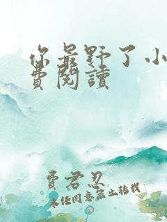 你最野了小说免费阅读