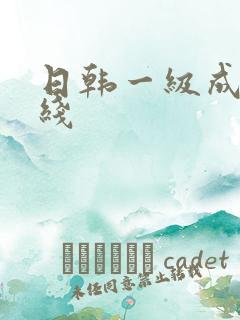 日韩一级成人在线