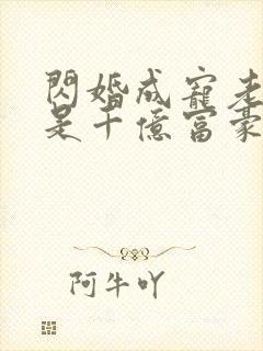 闪婚成宠老公竟是千亿富豪