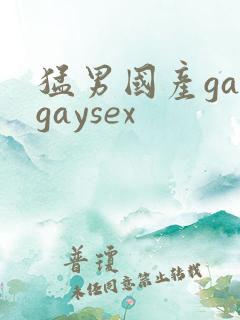 猛男国产gaygaysex