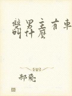 双男主有车动漫叫什么